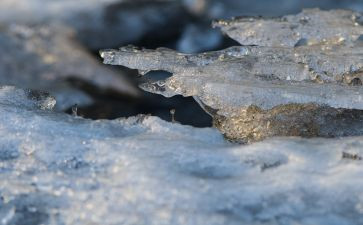 中班关于冰的教案7篇