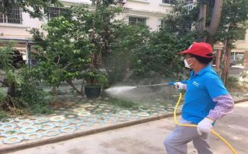 学校病媒防治工作总结6篇