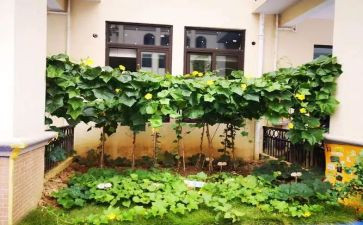 外婆烧的菜作文优质6篇