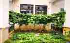 外婆烧的菜作文优质6篇