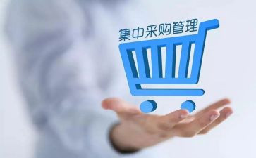 采购总结与工作计划精选6篇