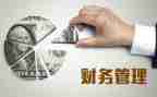 财务年度工作个人总结8篇