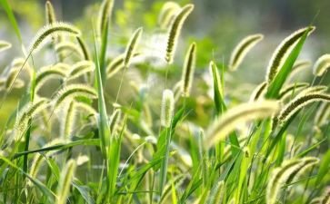 烟草站工作总结范文6篇