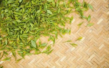 黑茶活动方案优质7篇
