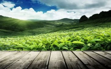 茶楼转让合同8篇