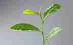 茶活动方案策划8篇