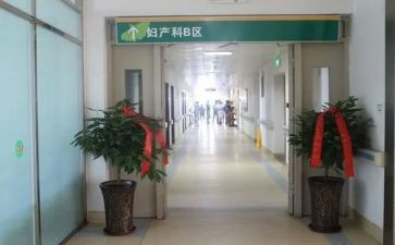 产科护士年工作计划模板6篇