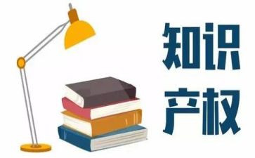 知识产权活动总结8篇
