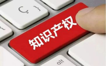 《知识产权》心得体会8篇