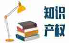 知识产权活动总结8篇