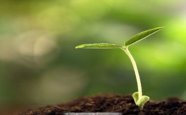 我与…共成长作文7篇