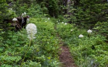 个人成长作文模板7篇