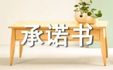 关于承诺的作文精选6篇