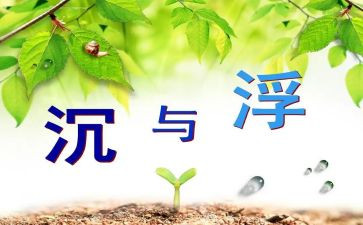 沉与浮调查报告模板7篇