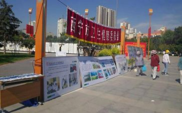 社区创建日活动方案5篇