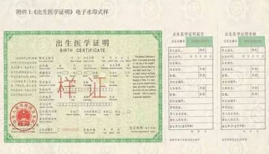 出生证明自查报告8篇