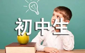 初中数学个人教学工作计划8篇