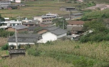 村个人述职报告范文推荐7篇
