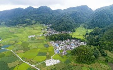 村活动总结参考7篇