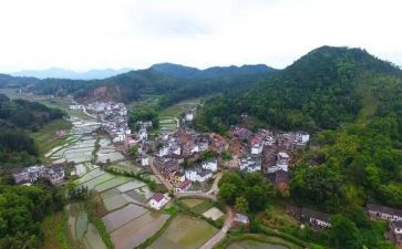 村年度工作总结报告8篇