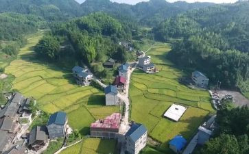 2024年村村主任述职报告5篇