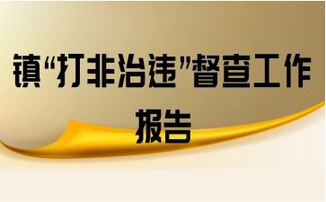 扫黄打非行动工作总结5篇