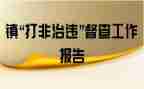 扫黄打非行动工作总结5篇