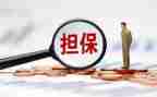 个人住房借款担保合同8篇