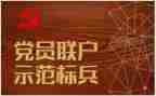 党务办述职报告6篇