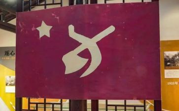 学校党员个人总结6篇