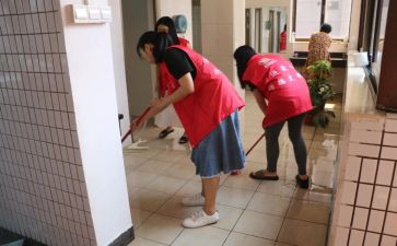 大清扫志愿者活动总结6篇