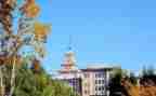 大学教师个人年终总结优秀5篇