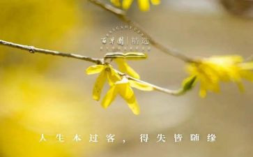 个人得与失年终总结精选6篇
