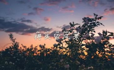 军人得与失心得体会7篇