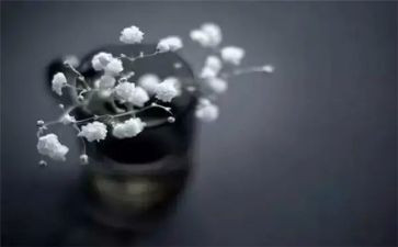 得与失故事的心得体会8篇