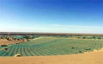脚踏实地的演讲稿范文7篇