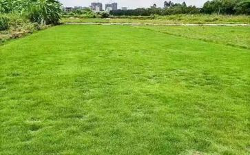 房地产销售年终工作计划6篇