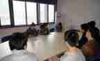 顶岗实习工作总结通用6篇