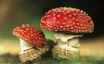 校禁毒活动总结精选7篇