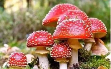 学禁毒法心得体会推荐5篇