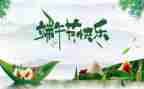 端午节的活动总结优质5篇