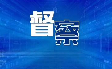 督查科工作总结模板6篇