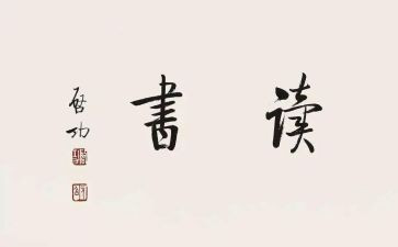 读一百条裙子读后感8篇