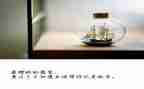 幼儿开放日活动总结7篇