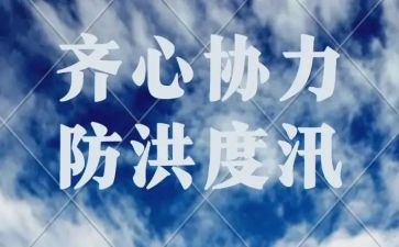 防洪防汛安全工作总结8篇