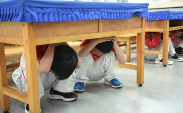 学校防震活动方案5篇
