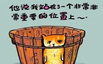 分类盒教案反思7篇