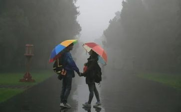 风雨中我在成长作文6篇