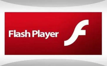 学flash的心得体会8篇