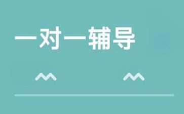 辅导工作总结精选5篇
